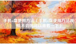 手机u盘使用方法（手机u盘使用方法视频,不会的可以来看一下）