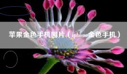 苹果金色手机图片（iphone金色手机）