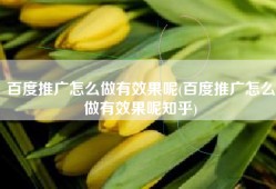 百度推广怎么做有效果呢(百度推广怎么做有效果呢知乎)