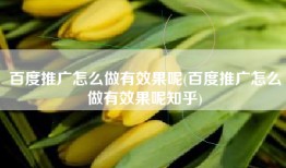 百度推广怎么做有效果呢(百度推广怎么做有效果呢知乎)