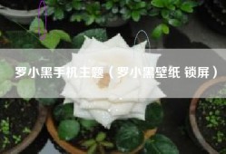 罗小黑手机主题（罗小黑壁纸 锁屏）