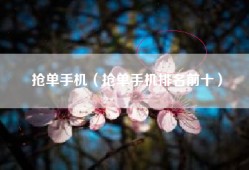 抢单手机（抢单手机排名前十）