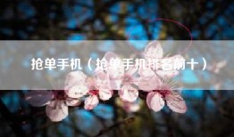 抢单手机（抢单手机排名前十）