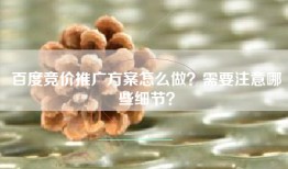 百度竞价推广方案怎么做？需要注意哪些细节？