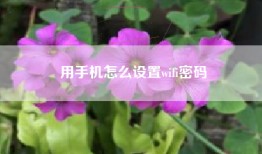 用手机怎么设置wifi密码