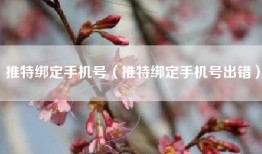 推特绑定手机号（推特绑定手机号出错）