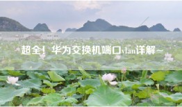 超全！华为交换机端口vlan详解~