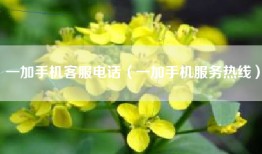 一加手机客服电话（一加手机服务热线）