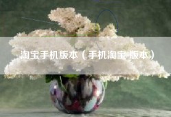 淘宝手机版本（手机淘宝 版本）