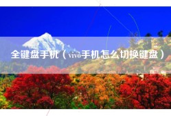 全键盘手机（vivo手机怎么切换键盘）