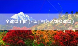 全键盘手机（vivo手机怎么切换键盘）