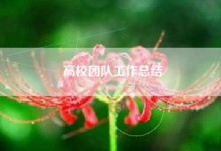 高校团队工作总结