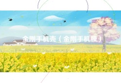 金刚手机壳（金刚手机膜）