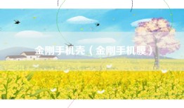 金刚手机壳（金刚手机膜）