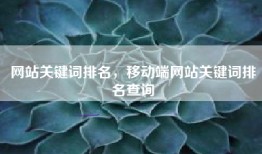 网站关键词排名，移动端网站关键词排名查询