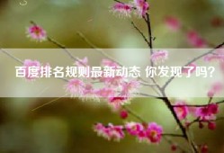 百度排名规则最新动态 你发现了吗？