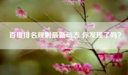 百度排名规则最新动态 你发现了吗？