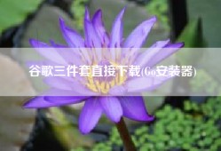 谷歌三件套直接下载(Go安装器)
