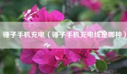 锤子手机充电（锤子手机充电线是哪种）