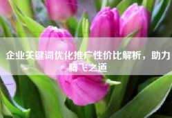 企业关键词优化推广性价比解析，助力腾飞之道