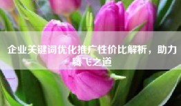 企业关键词优化推广性价比解析，助力腾飞之道