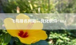 飞鸟排名网站seo优化软件  4.8.6