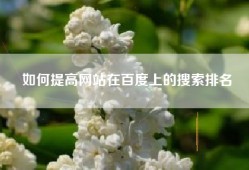 如何提高网站在百度上的搜索排名
