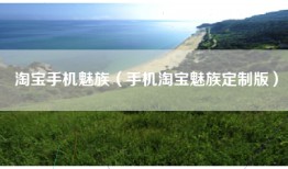 淘宝手机魅族（手机淘宝魅族定制版）