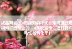 成品网站CRM短视频的样式：如何通过短视频打造专业的CRM系统展示，提升客户粘性与转化率！