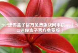 2022迷你盒子官方免费版战网手机app「2022迷你盒子官方免费版」