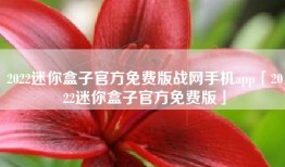 2022迷你盒子官方免费版战网手机app「2022迷你盒子官方免费版」