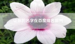 让你的名字在百度排名前列
