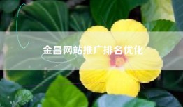 金昌网站推广排名优化
