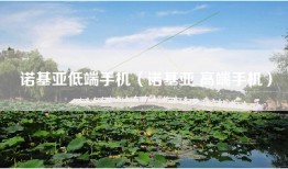 诺基亚低端手机（诺基亚 高端手机）