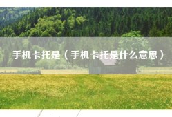 手机卡托是（手机卡托是什么意思）