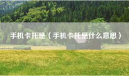 手机卡托是（手机卡托是什么意思）