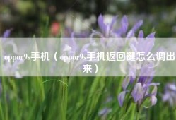 oppor9s手机（oppor9s手机返回键怎么调出来）