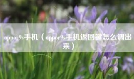 oppor9s手机（oppor9s手机返回键怎么调出来）