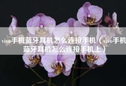 vivo手机蓝牙耳机怎么连接手机（vivo手机蓝牙耳机怎么连接手机上）