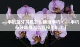 vivo手机蓝牙耳机怎么连接手机（vivo手机蓝牙耳机怎么连接手机上）