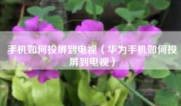 手机如何投屏到电视（华为手机如何投屏到电视）