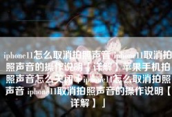 iphone11怎么取消拍照声音 iphone11取消拍照声音的操作说明【详解】苹果手机拍照声音怎么关闭「iphone11怎么取消拍照声音 iphone11取消拍照声音的操作说明【详解】」