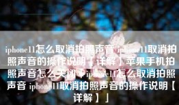 iphone11怎么取消拍照声音 iphone11取消拍照声音的操作说明【详解】苹果手机拍照声音怎么关闭「iphone11怎么取消拍照声音 iphone11取消拍照声音的操作说明【详解】」