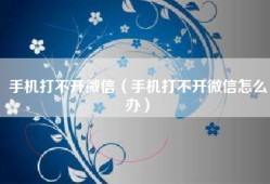 手机打不开微信（手机打不开微信怎么办）