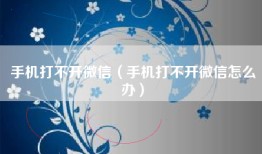 手机打不开微信（手机打不开微信怎么办）