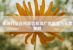 夜场行业在抖音信息流广告投放与运营策略