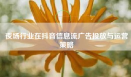 夜场行业在抖音信息流广告投放与运营策略