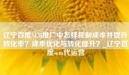 辽宁百度SEM推广中怎样控制成本并提升转化率？成本优化与转化提升？_辽宁百度sem代运营