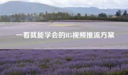 一看就能学会的H5视频推流方案