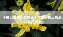手机总成是什么意思（苹果手机总成是什么意思）